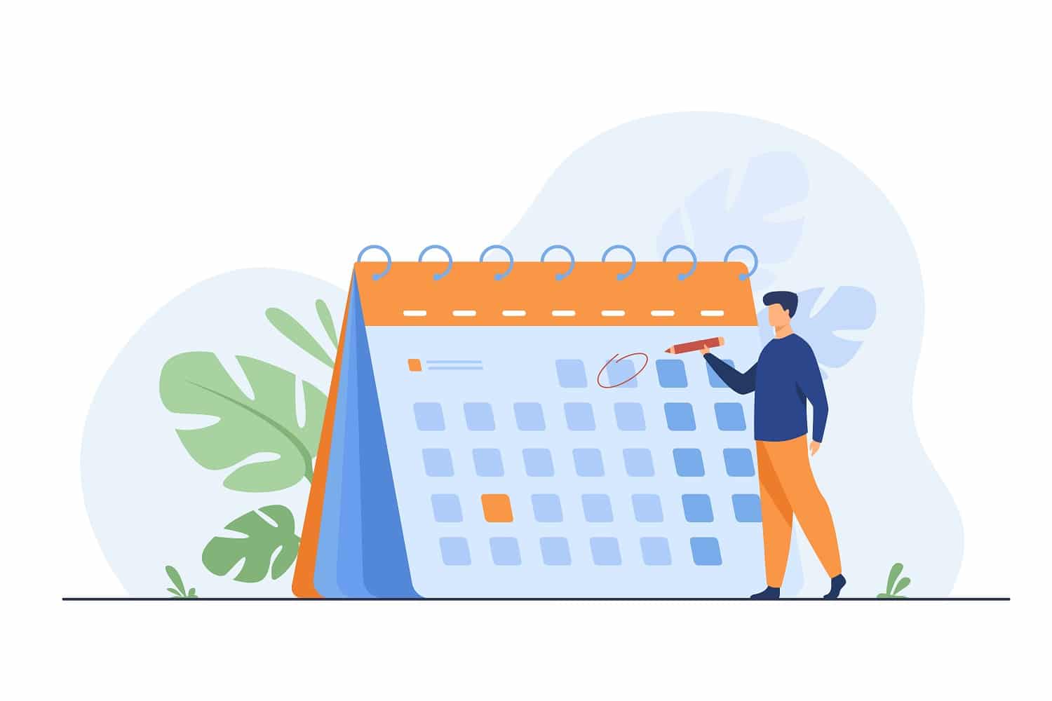 How Does Calendly Work Salespanel